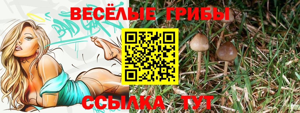 Галлюциногенные грибы GOLDEN TEACHER  Вход с VPN  где купить наркоту  Обь 