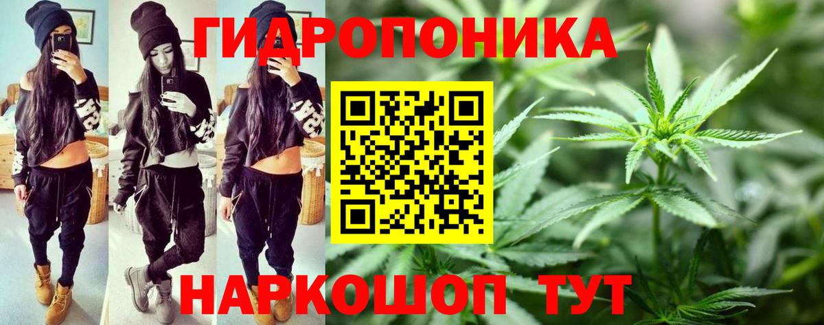 Каннабис VHQ  Вход с VPN  Обь  Бошки Шишки ГИДРОПОН 